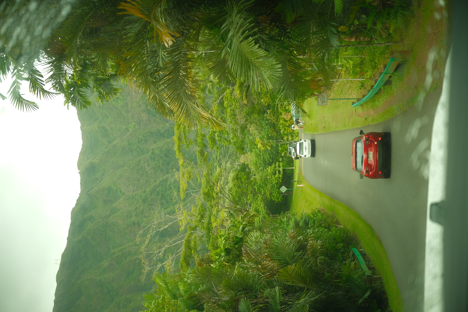 Misty road winding through a lush palm-lined valley with jungle mountains rising behind on Oʻahu, Hawaii.