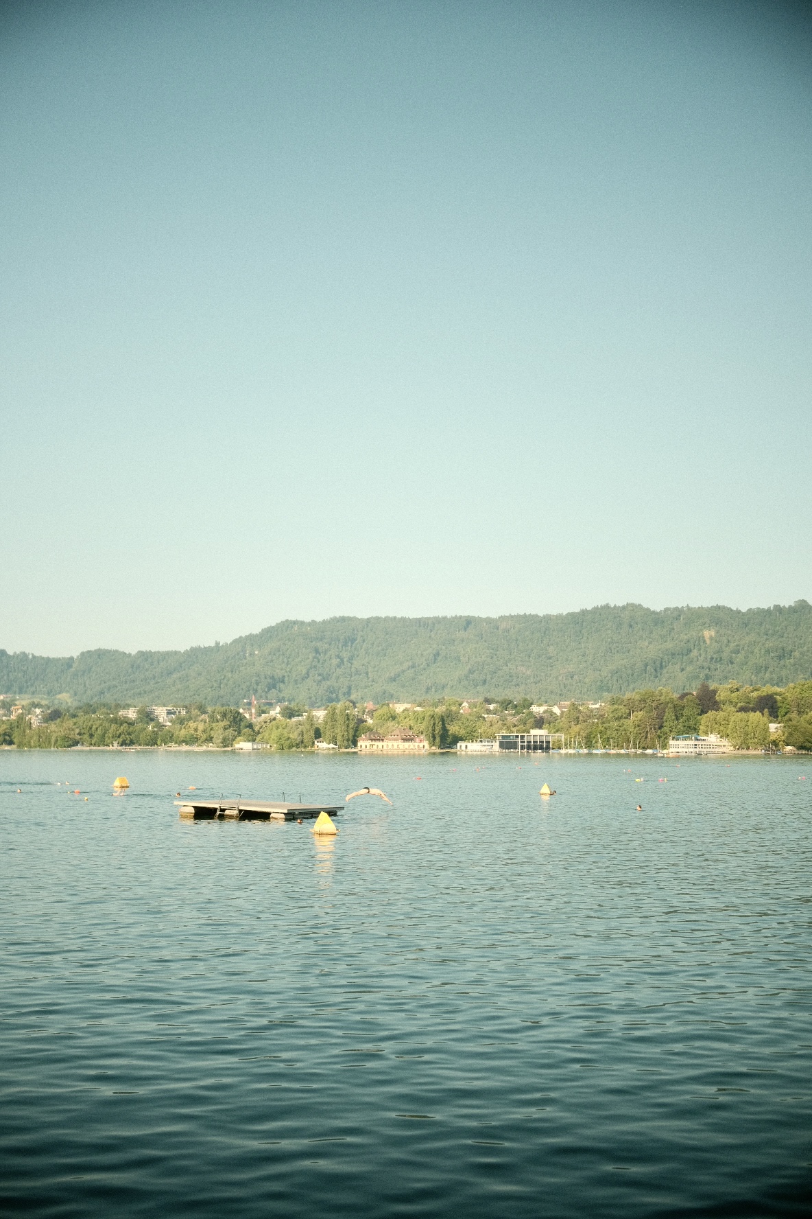 Calm lake with a swimming platform and wooded shoreline in Zurich.