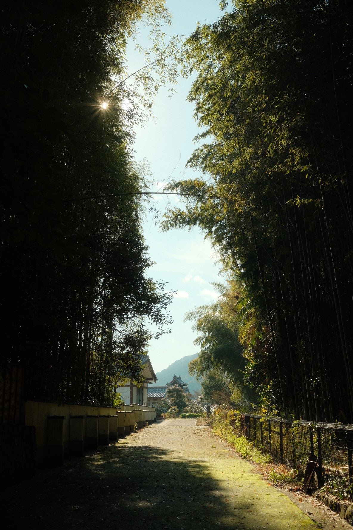 Japan preview