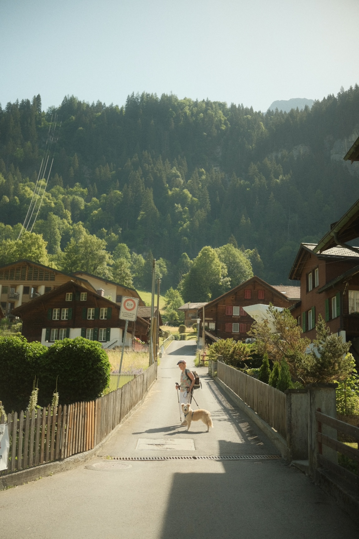 Hiker and dog on a quiet Swiss village lane framed by chalets and forested hills.