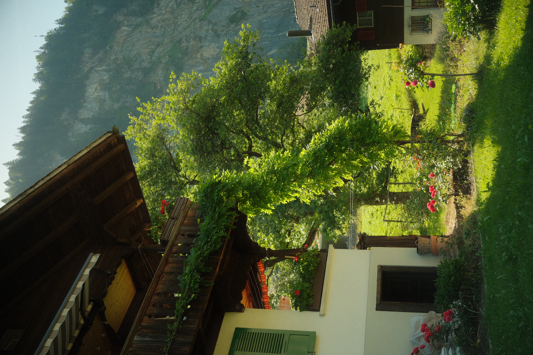 Wooden chalet balcony draped in greenery beneath a Lauterbrunnen cliff.