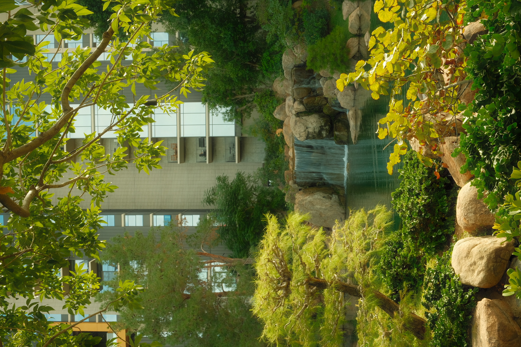 Rock waterfall and lush garden landscaping in front of a glass desert resort building in Arizona.